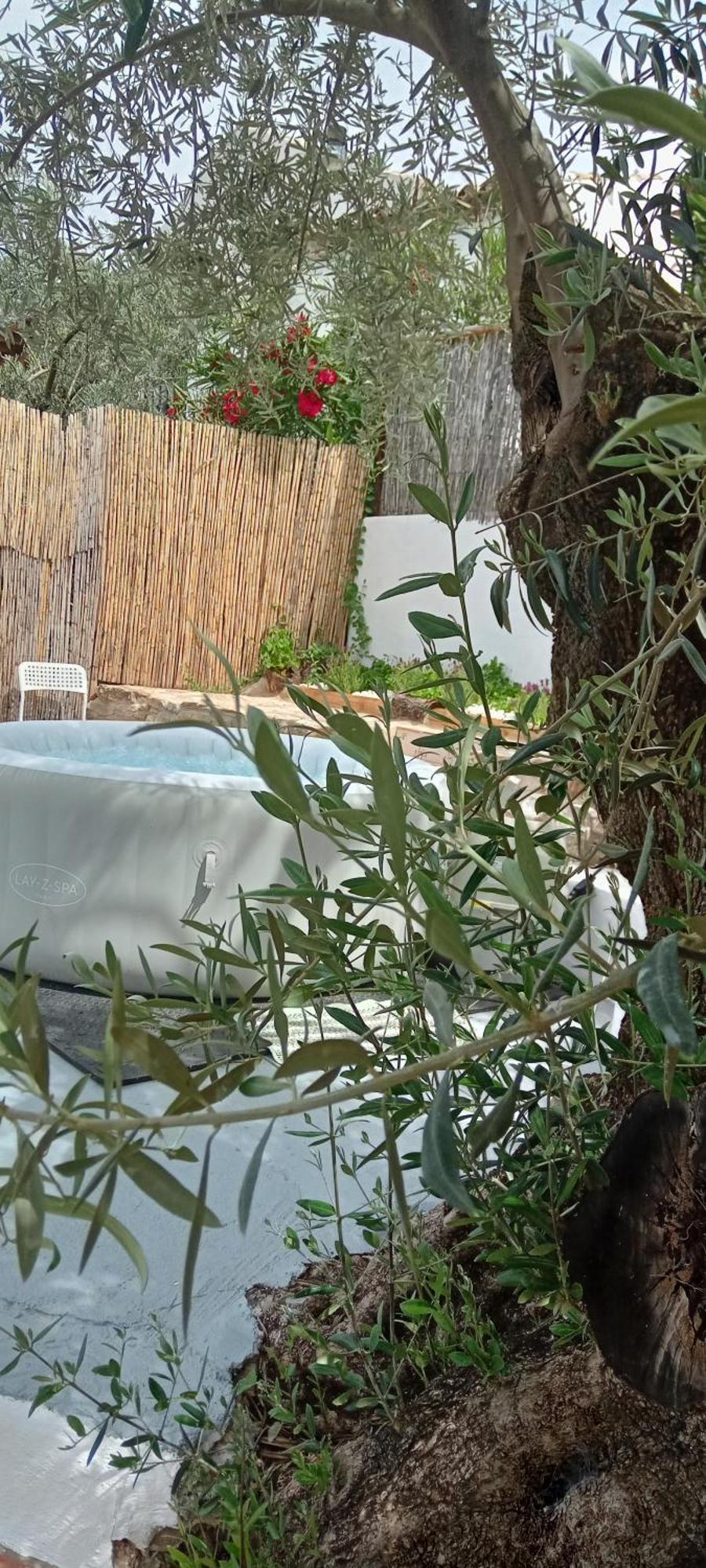 La Estrellita Appartement